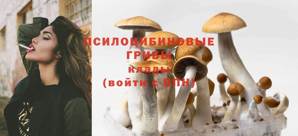 МДПВ Алексеевка