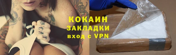 прущий лед Алзамай
