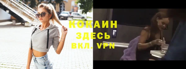 прущий лед Алзамай