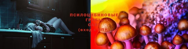 герыч Алексин