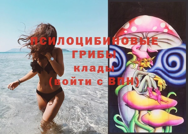 прущий лед Алзамай