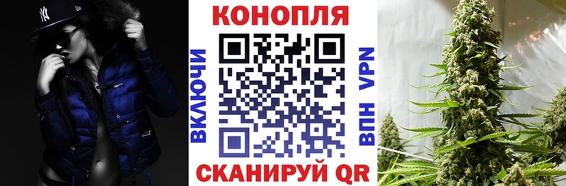 как найти   Муром  Канабис SATIVA & INDICA 